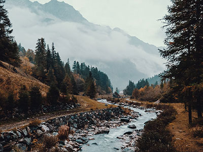 揭开糖心Vlog的神秘面纱：那些未曾被看到的真相